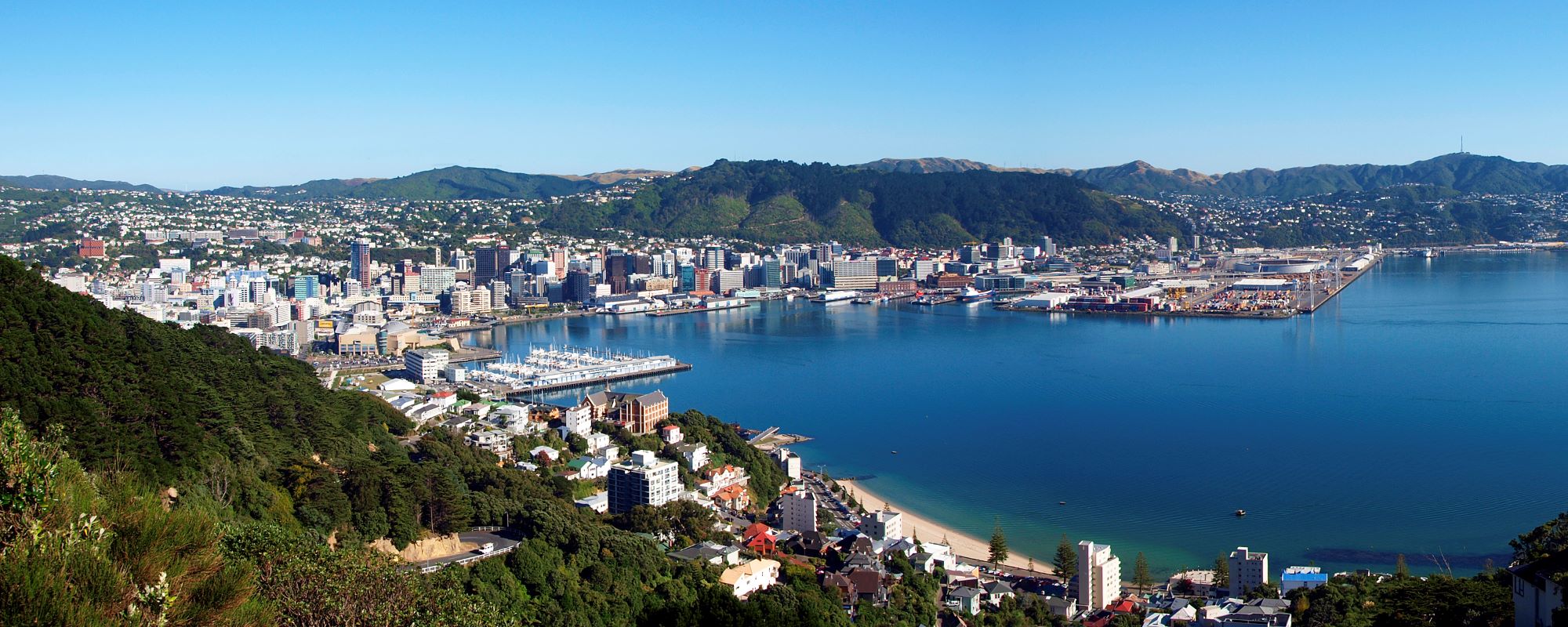 Wellington Panoramic View